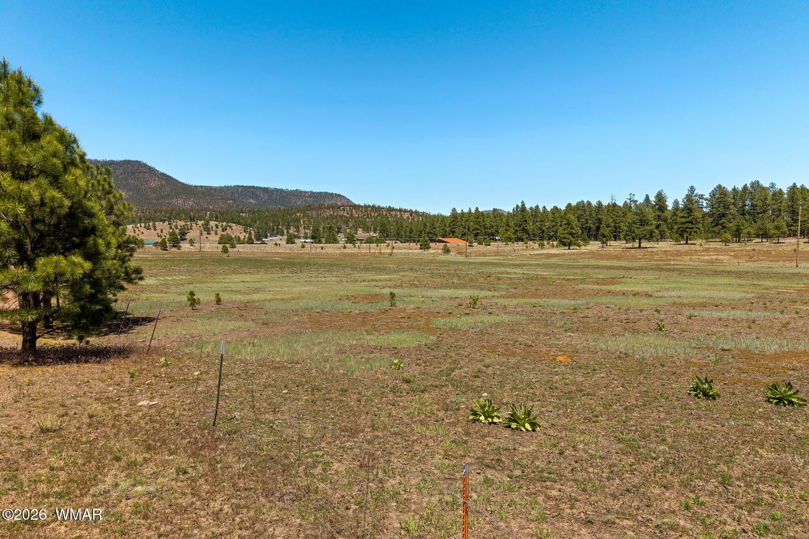 16 County Road 2089, Alpine, AZ 85920 — Photo 1 of 15