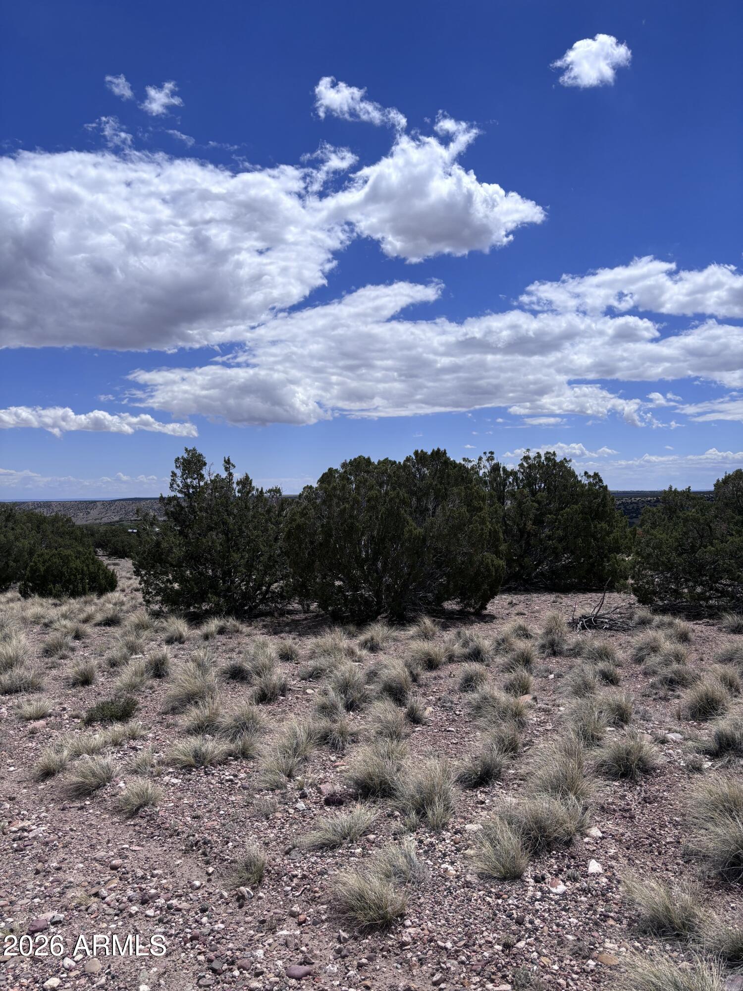 71 Gila Drive 1, Concho, AZ 85924 — Photo 1 of 9