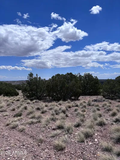 71 Gila Drive 1, Concho, AZ 85924