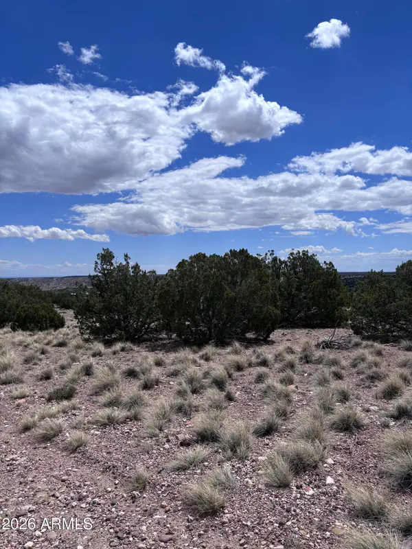 71 Gila Drive 1, Concho, AZ 85924
