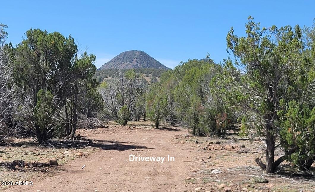 107A N Ranch Road 107A, Williams, AZ 86046 — Photo 1 of 18