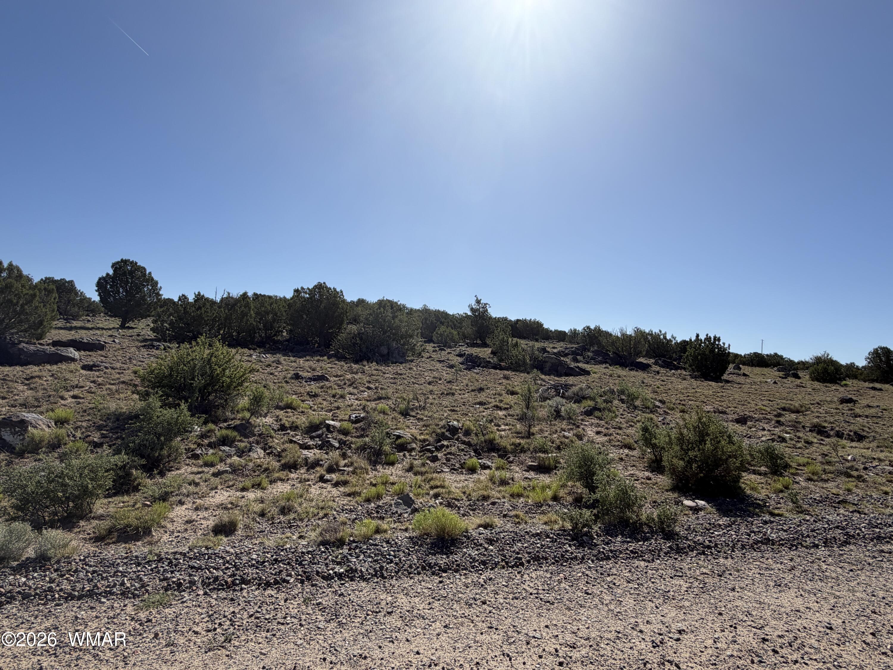 Lot 49 Windsor valley Ranch Drive, Concho, AZ 85924 — Photo 1 of 8