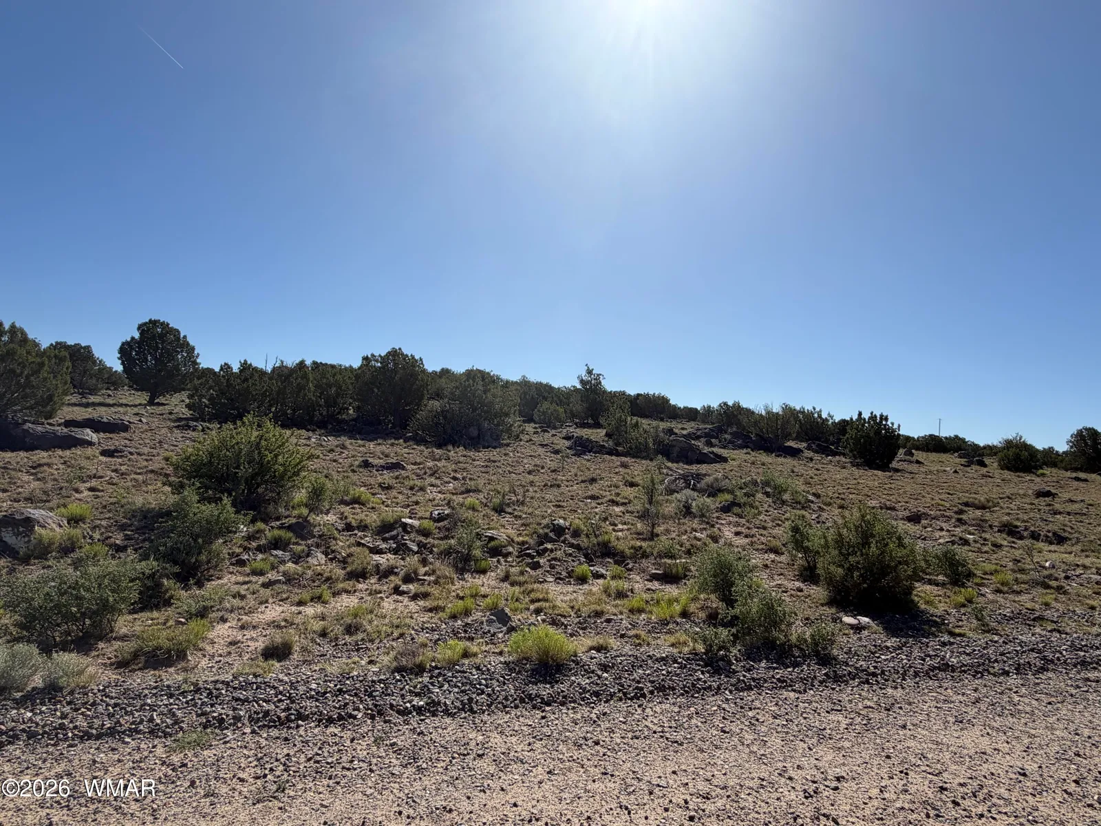 Lot 49 Windsor valley Ranch Drive, Concho, AZ 85924 — Photo 1 of 8
