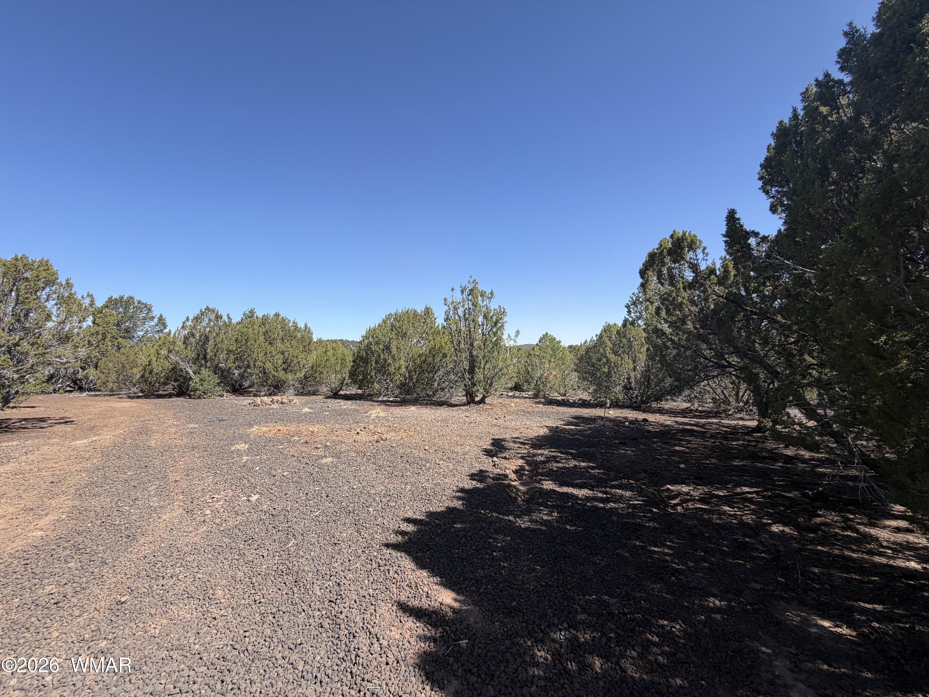 lot 199 Road, Vernon, AZ 85940 — Photo 1 of 7