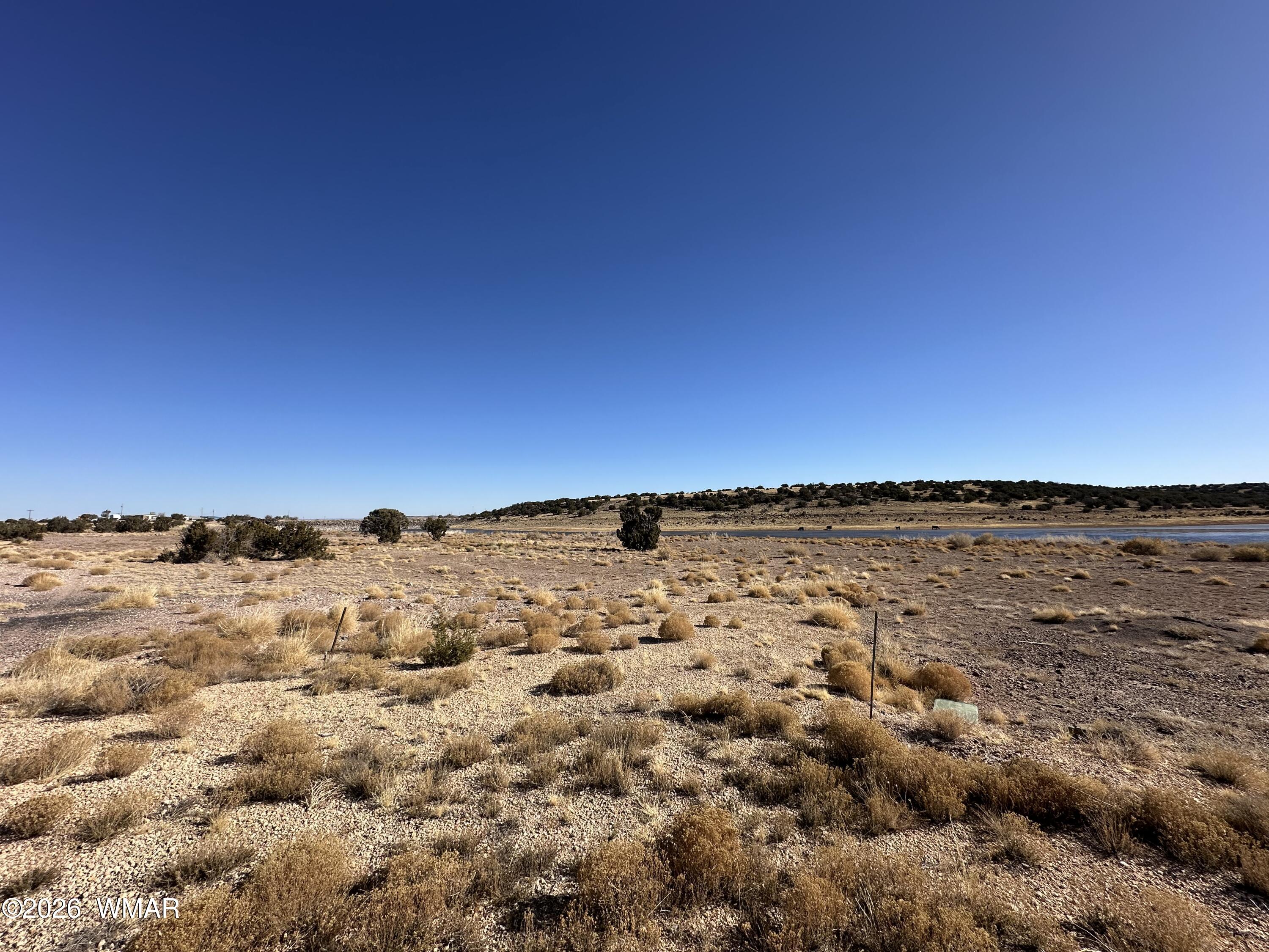 9 County Road 5700, Concho, AZ 85924 — Photo 1 of 11