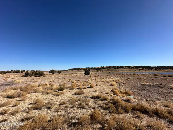 9 County Road 5700, Concho, AZ 85924