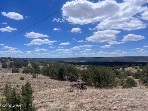 41 Indian Drive (CR 8062), Concho, AZ 85924 — Photo 1 of 26