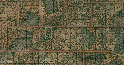 170 Co Road, # 8059, Vernon, AZ 85940