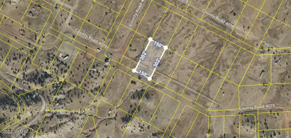 4019 North, St. Johns, AZ 85936