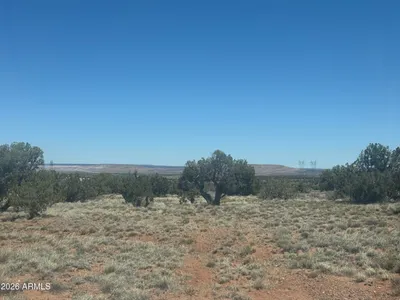 Lot 261 Woodridge Ranch 261, St Johns, AZ 85936