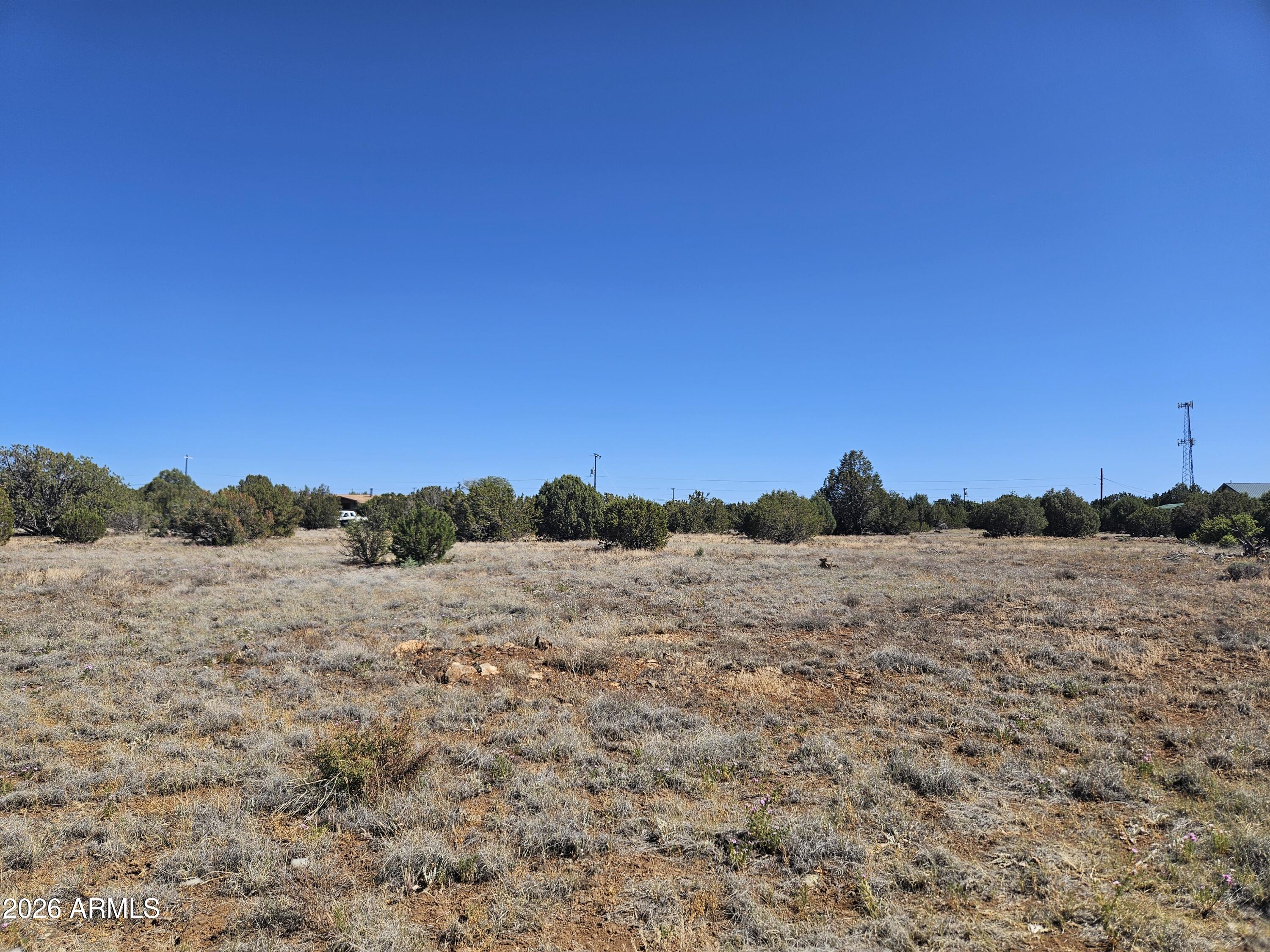 8423 NAVAJO Drive -, Show Low, AZ 85901 — Photo 1 of 4