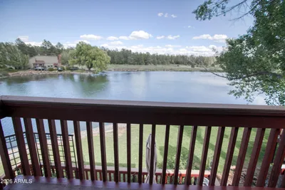 Thumbnail 29