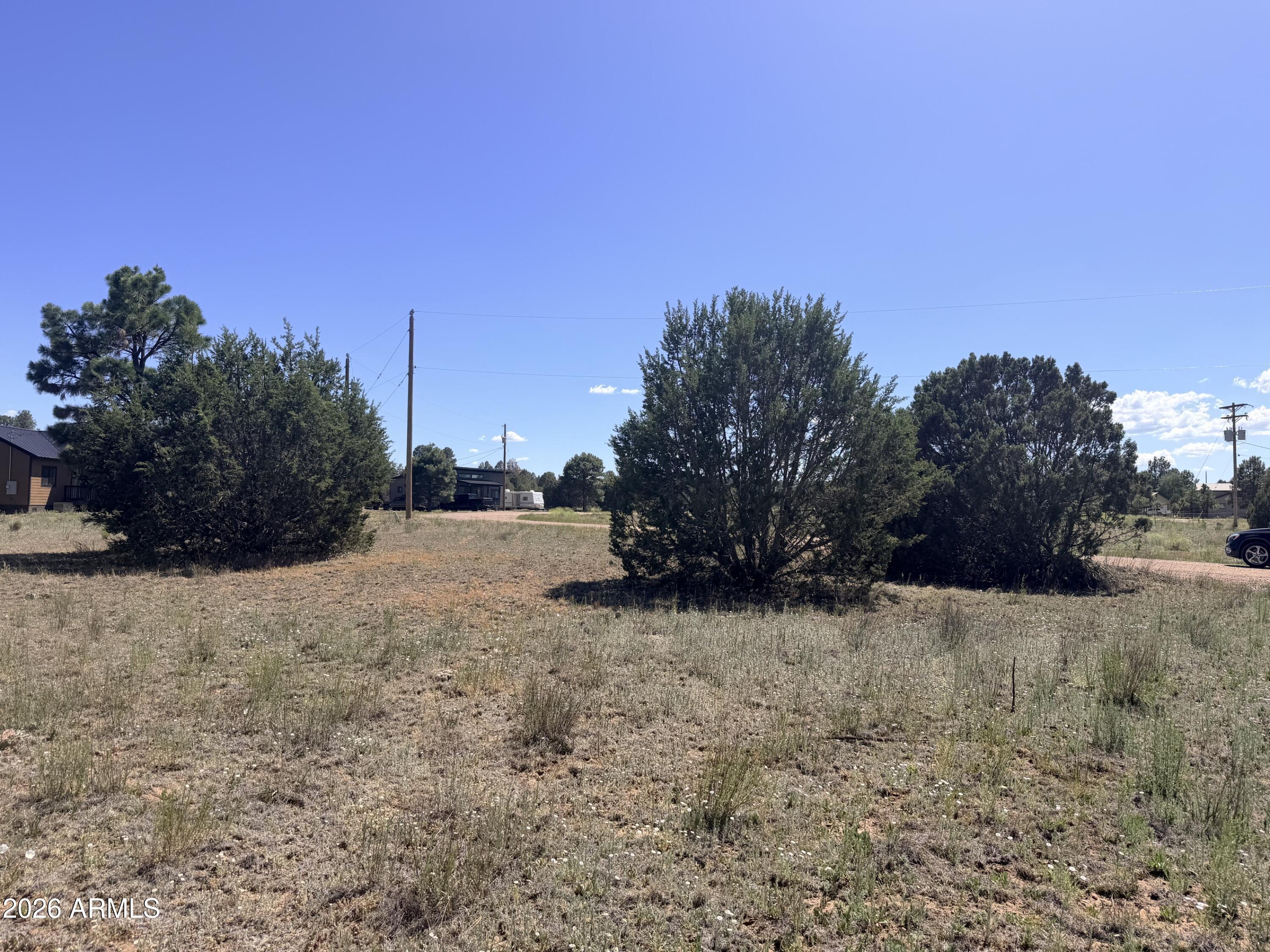 2287 MEADOW Lane 165, Overgaard, AZ 85933 — Photo 1 of 7