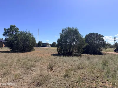 2287 MEADOW Lane 165, Overgaard, AZ 85933