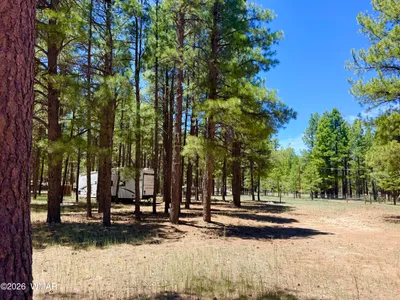2378 Blue Ridge Drive, Happy Jack, AZ 86024