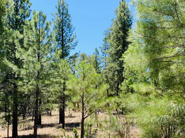 5117 Starlight Drive, Happy Jack, AZ 86024