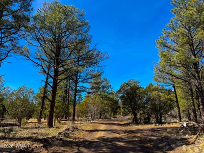 11 Co Rd 3262 5 Acres, Vernon, AZ 85940