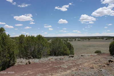 Thumbnail 13