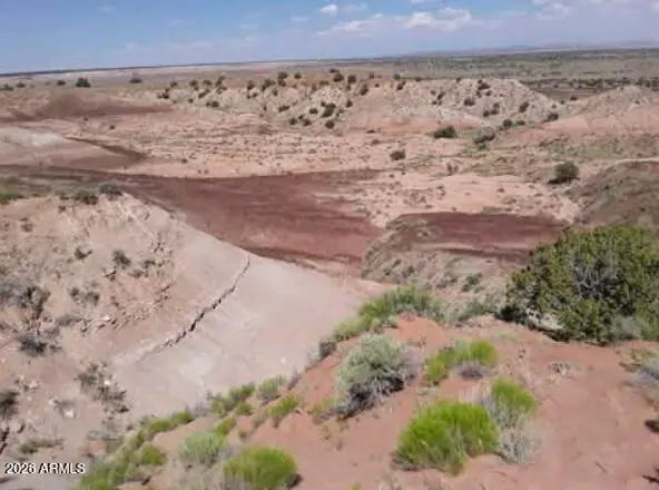 TBD 210-06-005 and 206-51-136 005, Chambers, AZ 86502