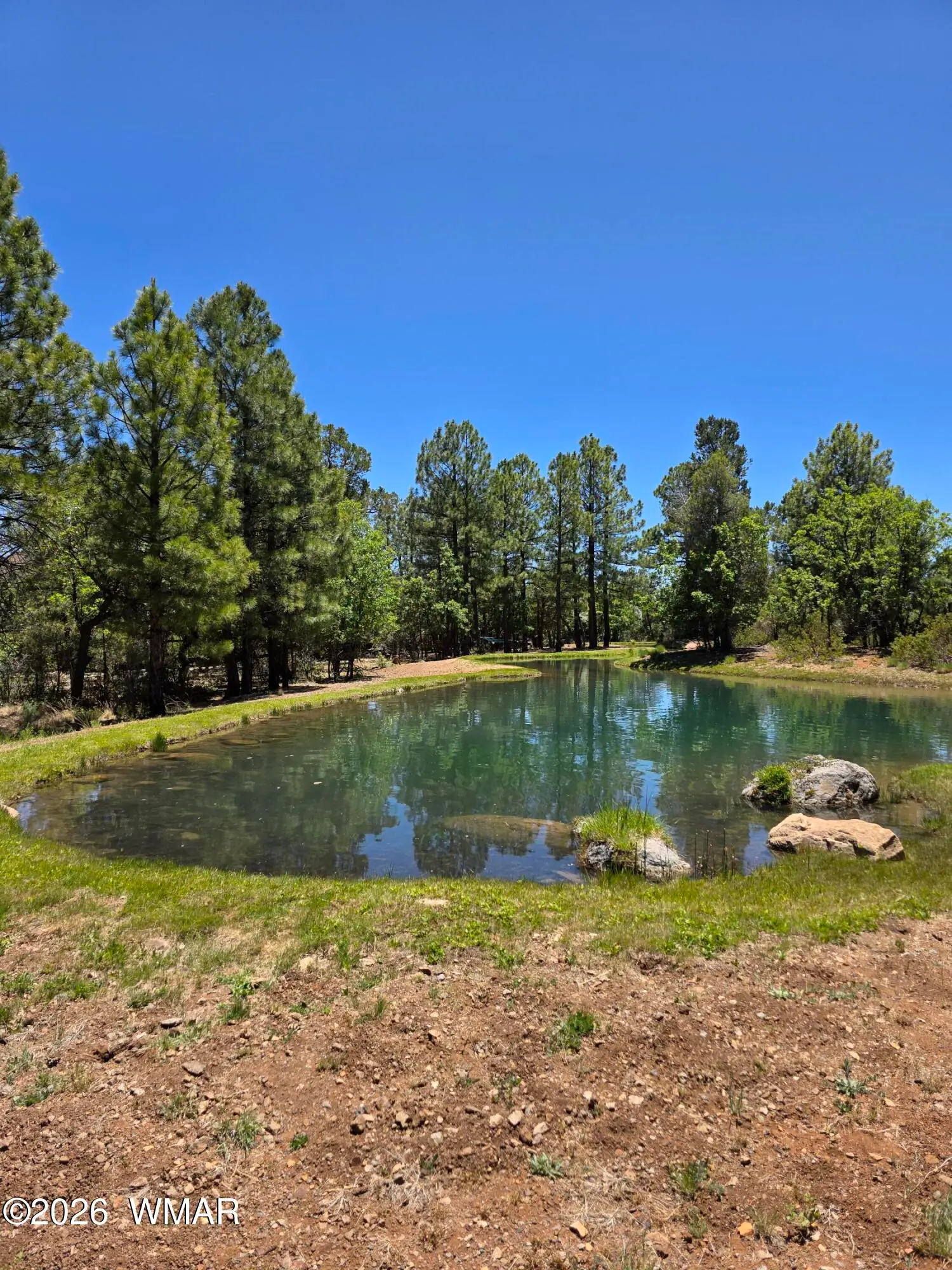 731 S Barberry Lane, Show Low, AZ 85901 — Photo 1 of 27
