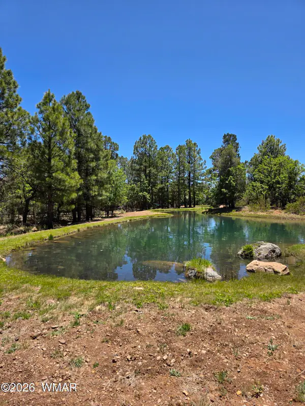 731 S Barberry Lane, Show Low, AZ 85901