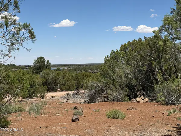 1885 DAGGS Street 38, Show Low, AZ 85901