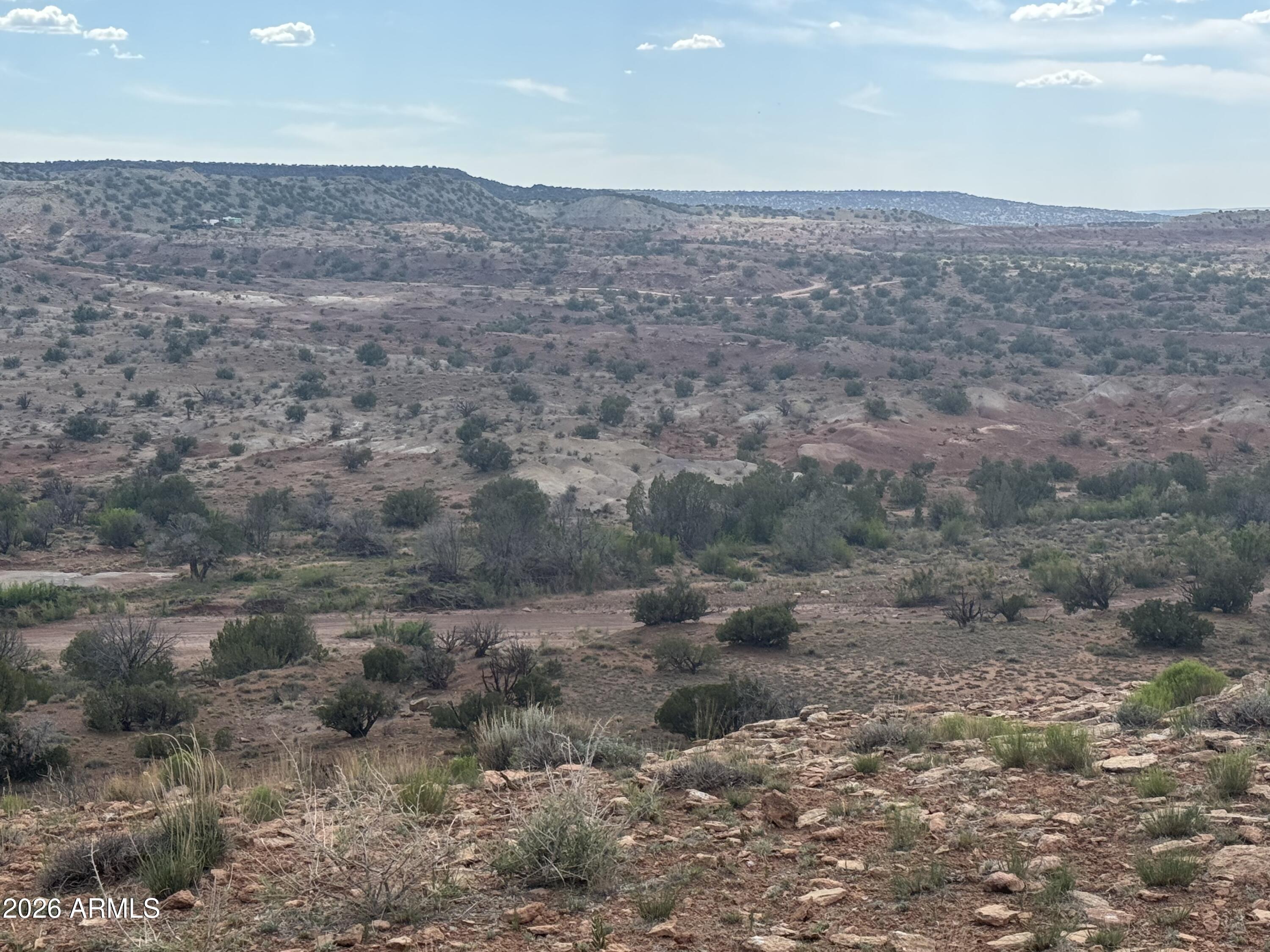 Lot 222 River Springs Ranch 222, St Johns, AZ 85936 — Photo 1 of 30