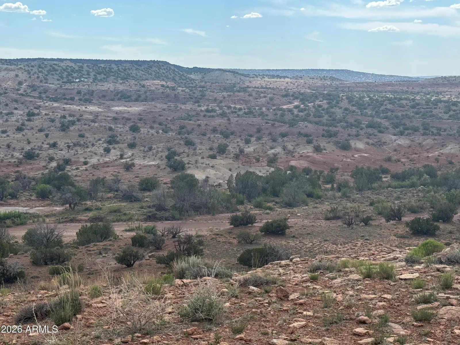Lot 222 River Springs Ranch 222, St Johns, AZ 85936 — Photo 1 of 30