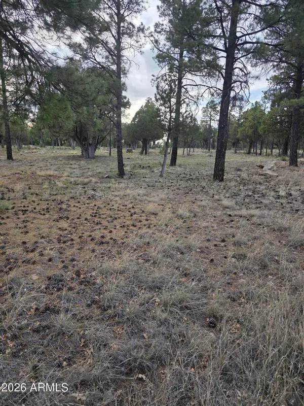 2584 ARAPAHO Drive 600, Happy Jack, AZ 86024