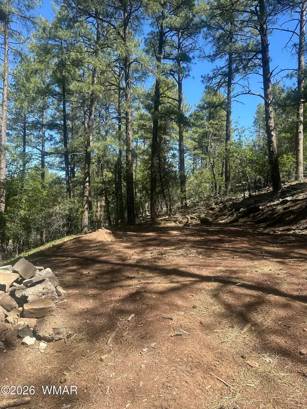 230 W Pine Shadow Drive, Lakeside, AZ 85929
