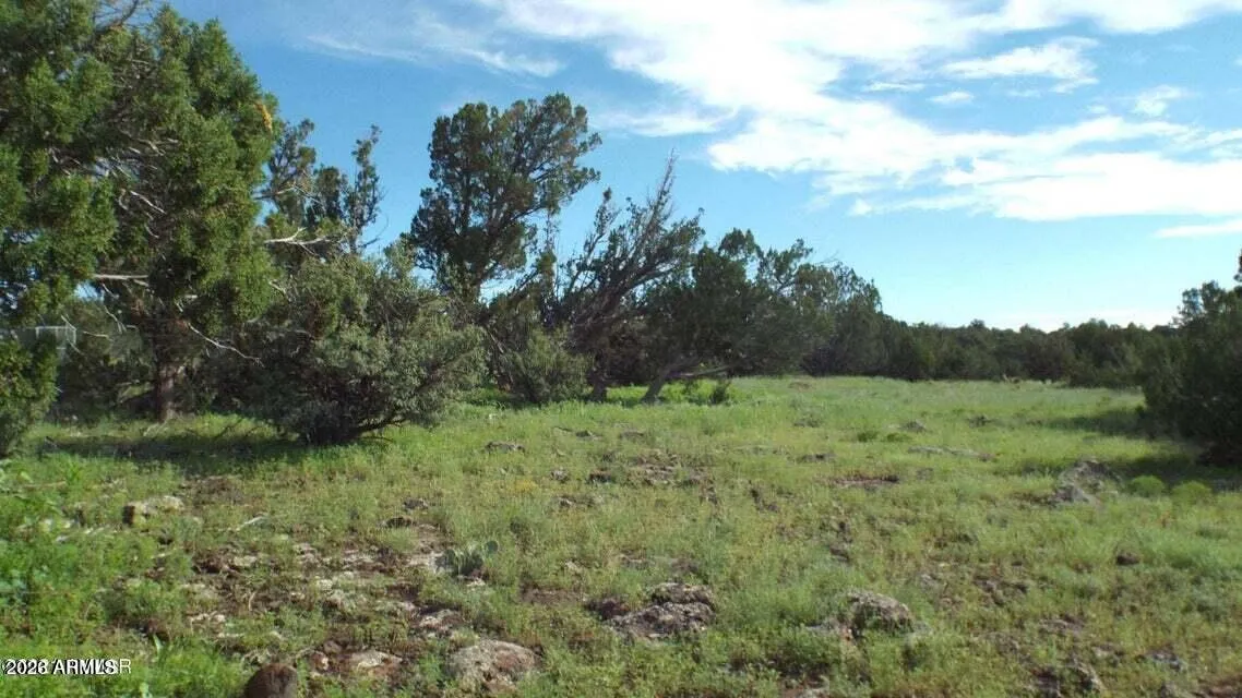 71 ACR 8001 632, Concho, AZ 85924 — Photo 1 of 13