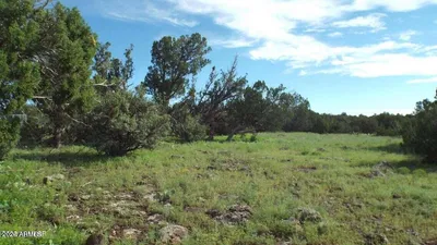 71 ACR 8001 632, Concho, AZ 85924