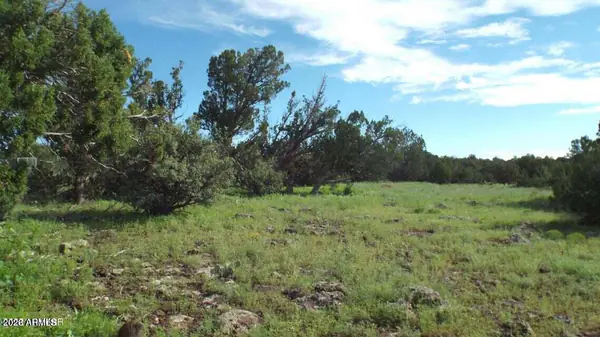 71 ACR 8001 632, Concho, AZ 85924