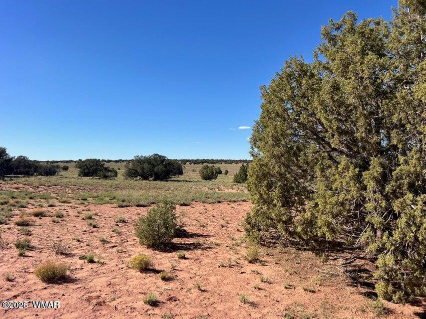 004 N9027, Concho, AZ 85924 — Photo 1 of 8