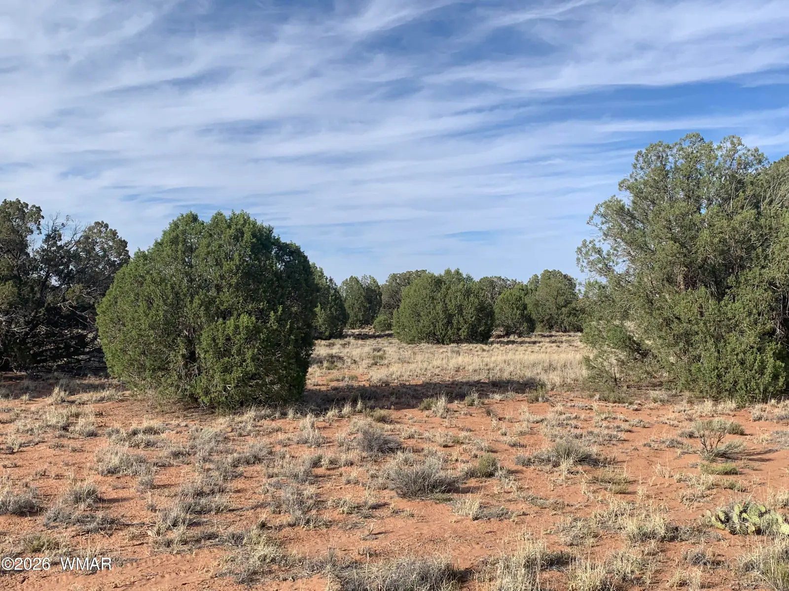 110 Mesa Redondo Ranch Road, Concho, AZ 85924 — Photo 1 of 14
