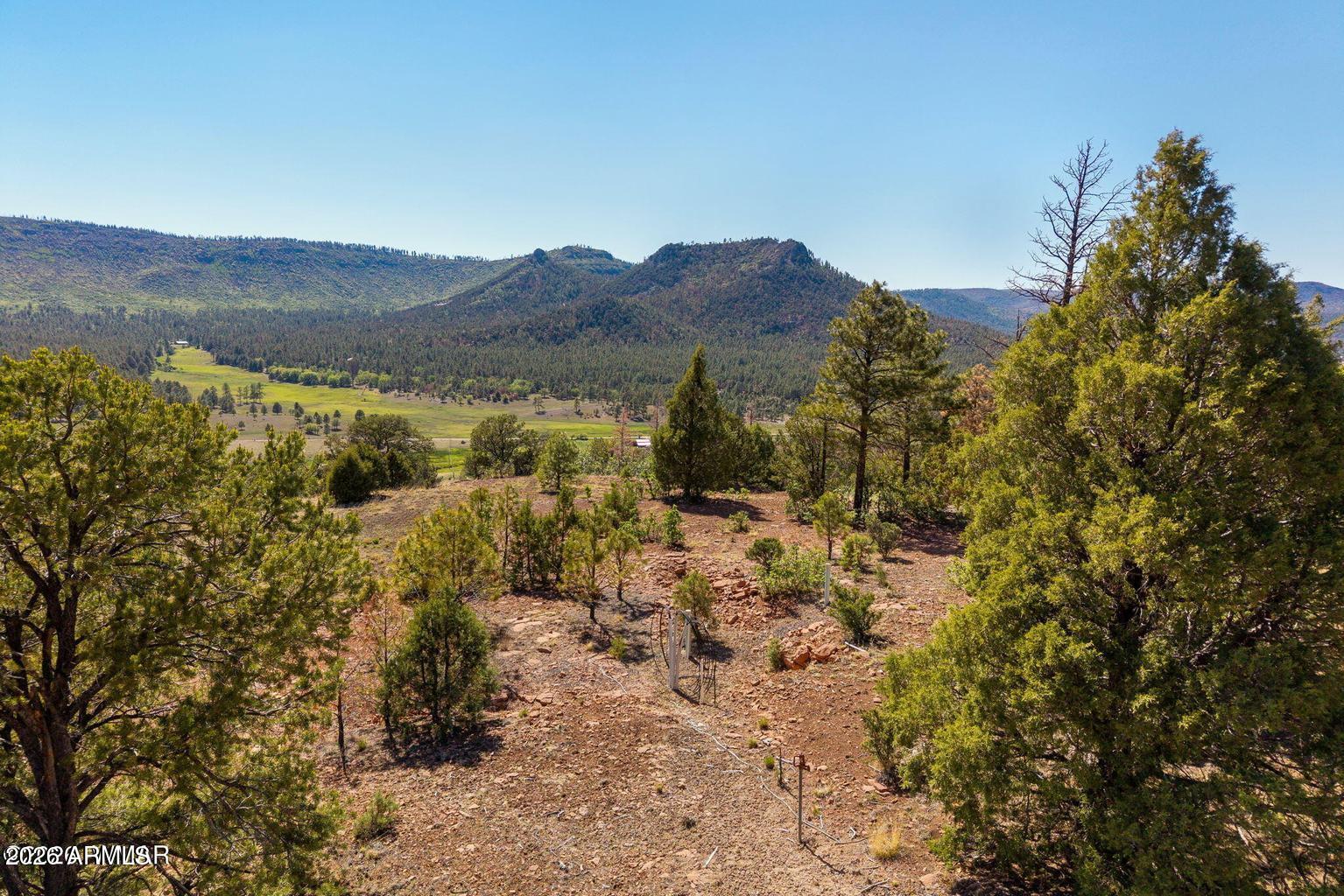 N2280 Noble Mountain Est 47, Nutrioso, AZ 85932 — Photo 1 of 19