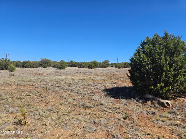 2429 Bourdon Ranch Road F, Show Low, AZ 85901