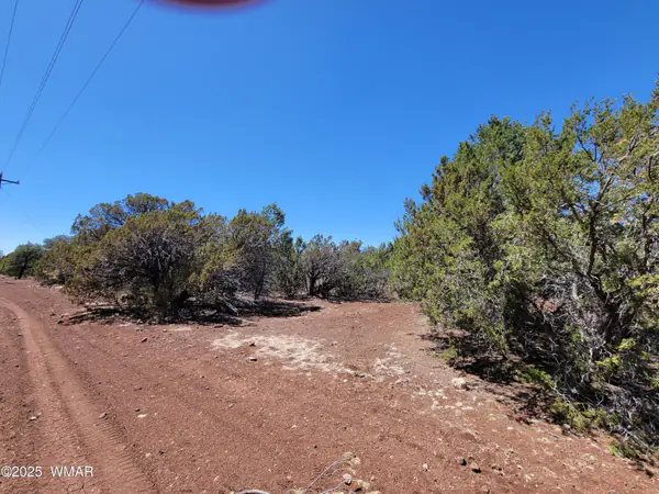 TBD Co Rd 3113, Vernon, AZ 85940