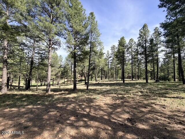 3698 S Woodland Hills Drive 383, Flagstaff, AZ 86005 — Photo 1 of 15