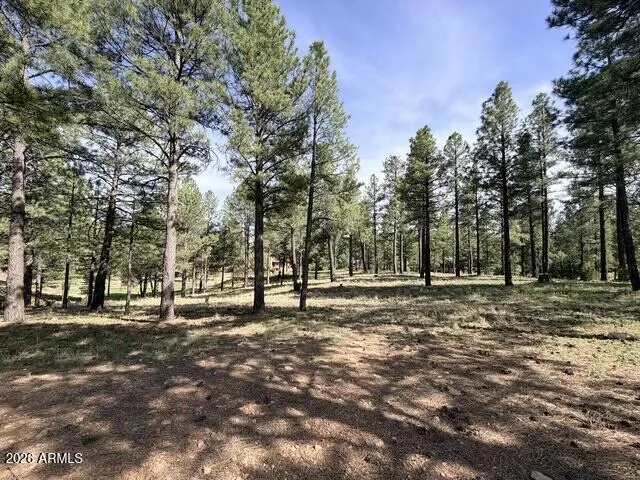 3698 S Woodland Hills Drive 383, Flagstaff, AZ 86005 — Photo 1 of 15