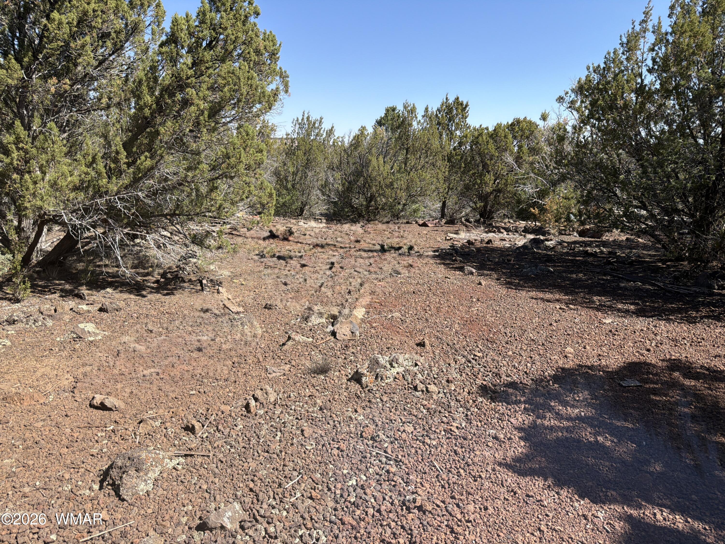 lot cr 3189, 200, Vernon, AZ 85940 — Photo 1 of 6