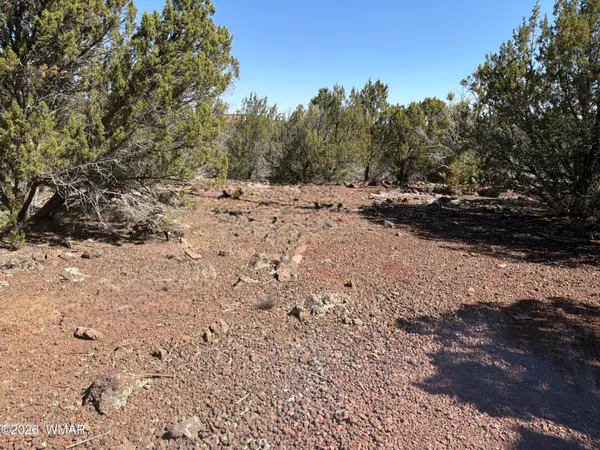 lot cr 3189, 199, Vernon, AZ 85940