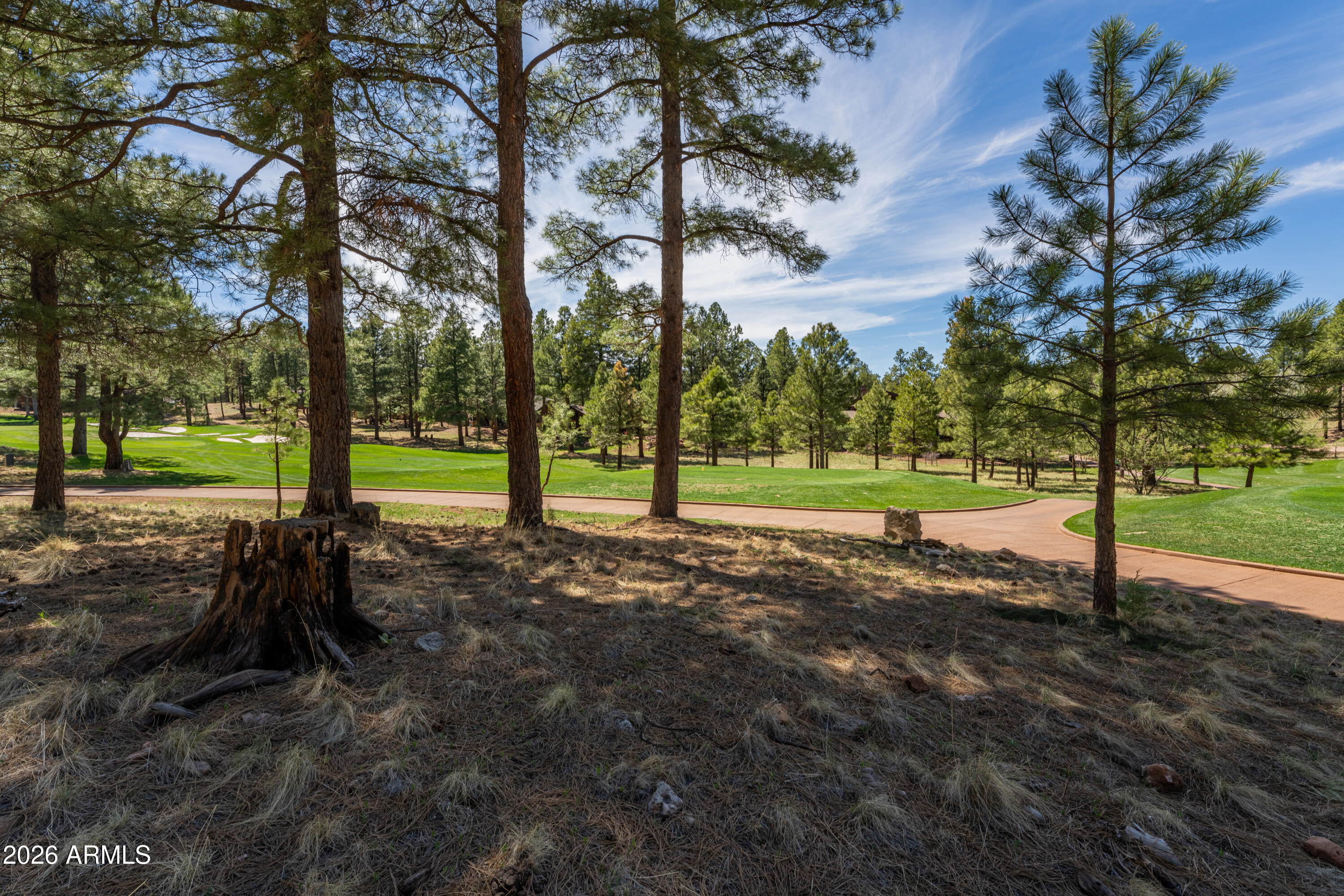 3663 S Woodland Hills Drive 365, Flagstaff, AZ 86005 — Photo 1 of 18
