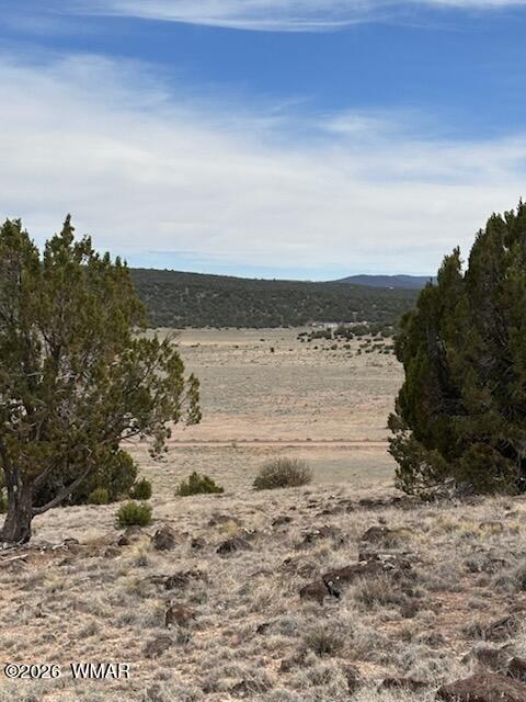 38 CR 8250, Concho, AZ 85924 — Photo 1 of 8
