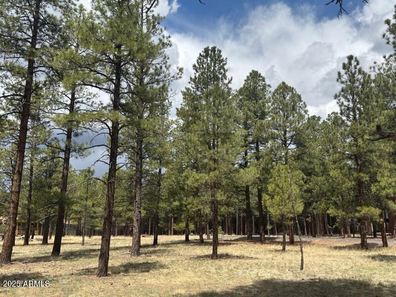 Lot 1 Hattie Greene 1, Flagstaff, AZ 86001 — Photo 1 of 8