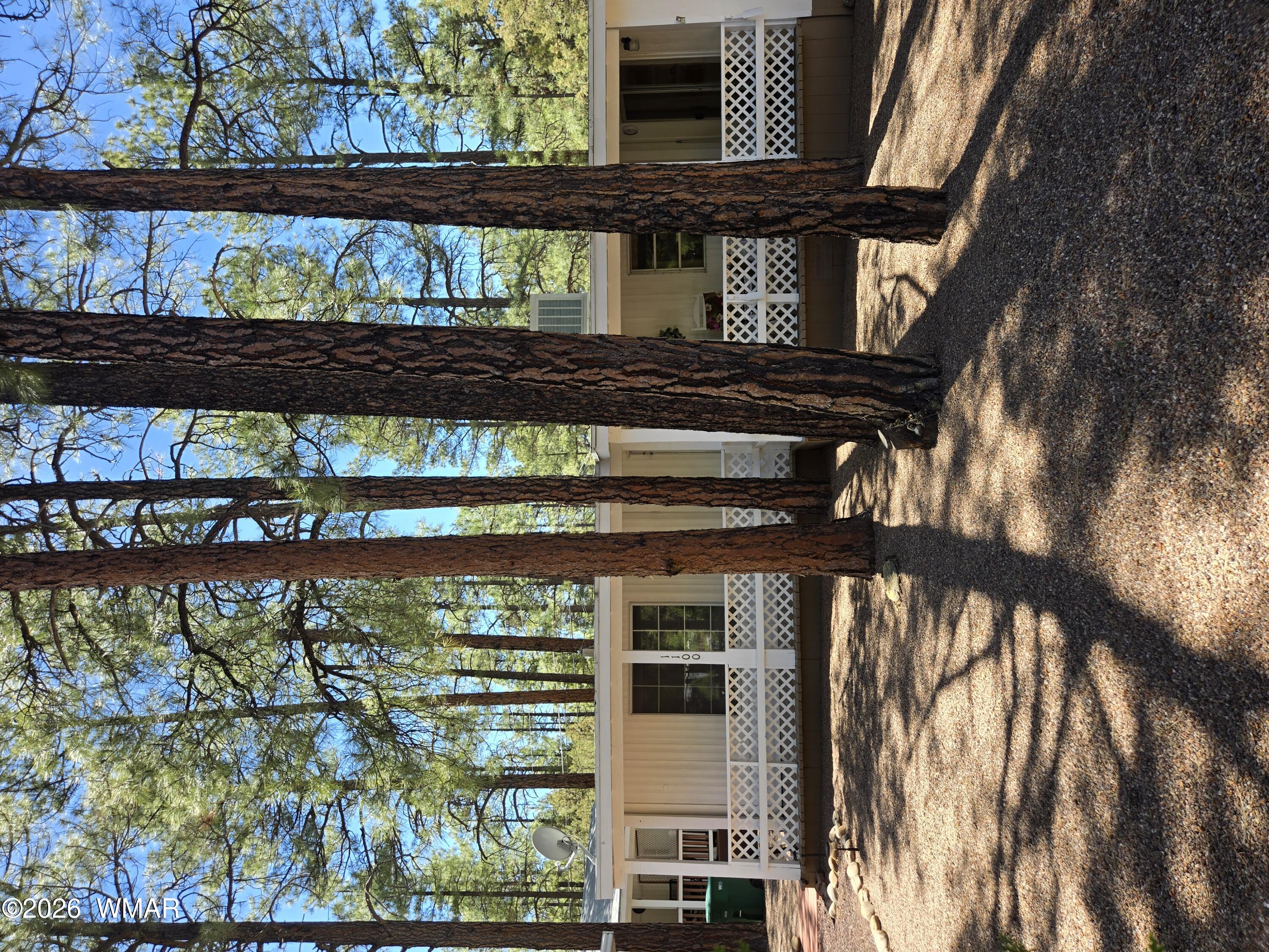 1100 N 43Rd Loop, Show Low, AZ 85901 — Photo 1 of 17