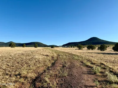 228B S Dutchmans Trail -, Young, AZ 85554