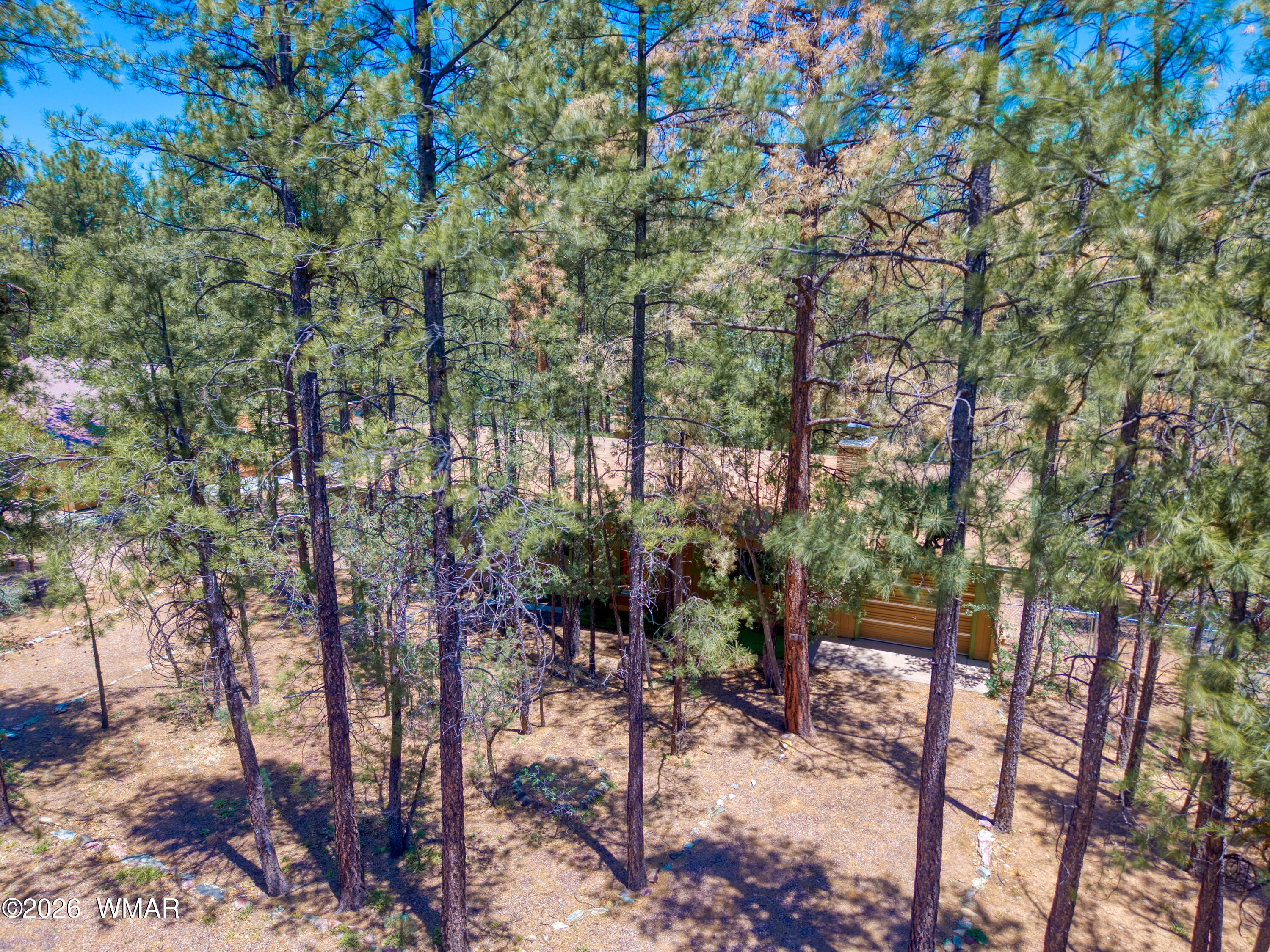 21 Southlake Road, Lakeside, AZ 85929 — Photo 1 of 27