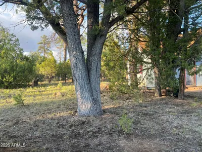 1270 GREEN RIDGE Drive, Happy Jack, AZ 86024