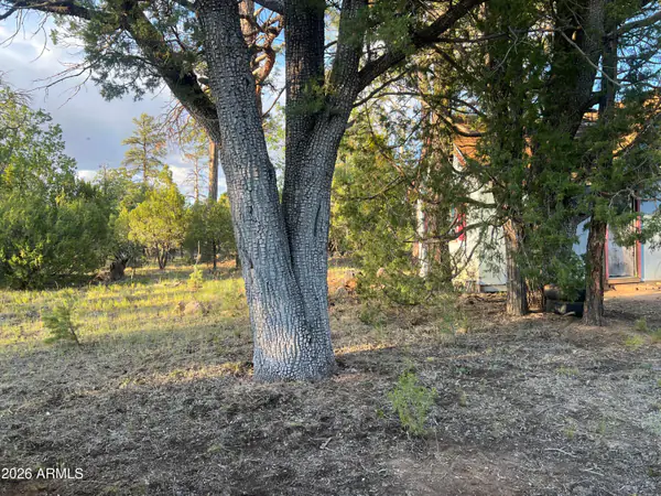 1270 GREEN RIDGE Drive, Happy Jack, AZ 86024